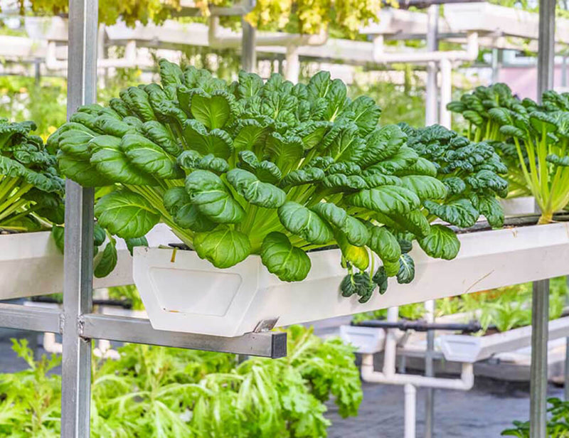 There are many variations of passages